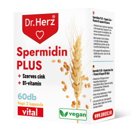   DR Herz Spermidin PLUS + Inulin +B1-vitamin 60 db kapszula   