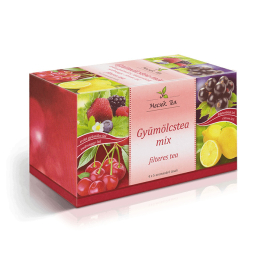 MECSEK Gyümölcstea mix